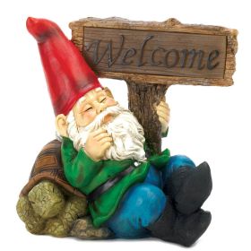 Solar Light-Up Welcome Garden Gnome and Turtle