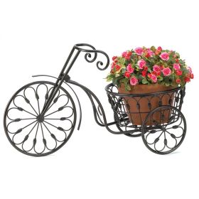 Iron Tricycle Plant Stand