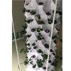 Aeroponics Equipment Pineapple Tower Garden Vertical Hydroponic Growing System 10 Layers 80 Plants