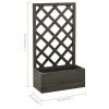 Garden Trellis Planter Gray 19.7"x9.8"x35.4" Solid Firwood